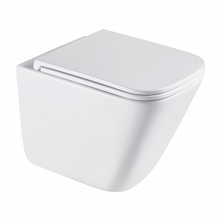 Подвесной унитаз безободковый Terminus Ватикан Monolit 490х340 белый Балашиха - фото 2 Подвесной унитаз безободковый Terminus Ватикан Monolit 490х340 белый Балашиха - фото 2