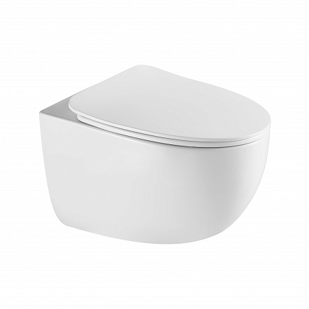 Подвесной унитаз безободковый Terminus Енисей Monolit 560х390 белый Балашиха - фото 2